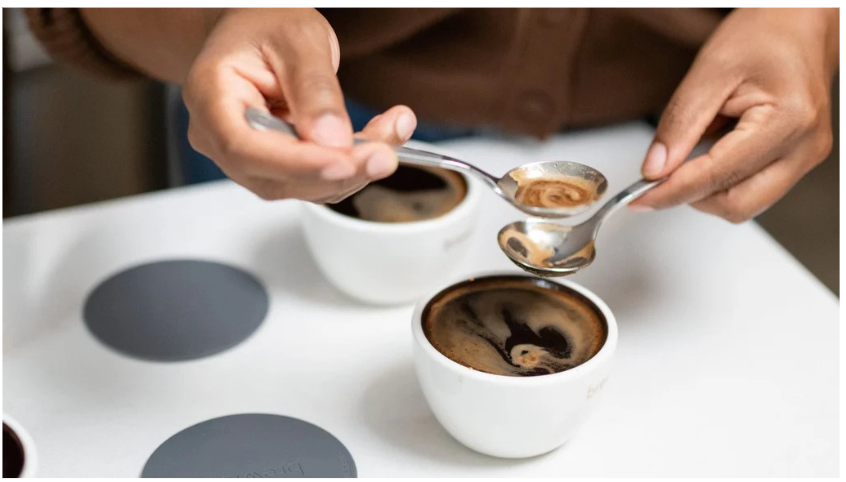 SPECIALTY COFFEE WORKSHOP